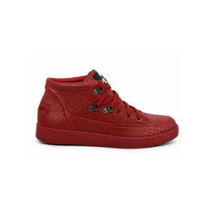 .Travel Fox Cancun (Red Spider)